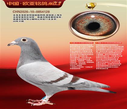 ��Ǳ� 126X387