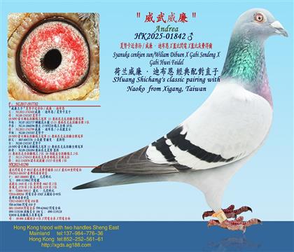 ��Ŭ��������/�������ϲ���X�w���W�X�w�Ȼ��M�à�