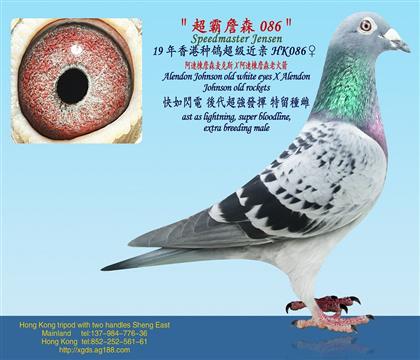���B��ղɭ���˹X���B��ղɭ�ϻ��