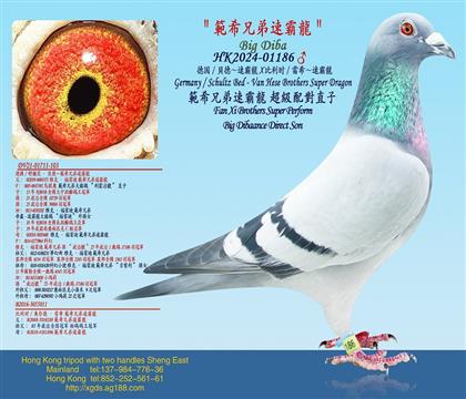 �¹�/ؐ�¡��ٰ���X ����ʱ/��ϣ���ٰ���