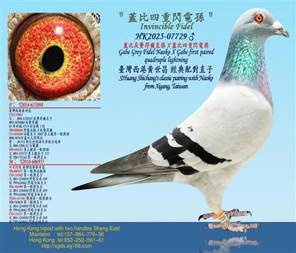 �w�������W늌O/�w�Ȼ��M�à�ֱ�OX�w�������W늌O