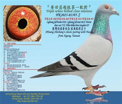 �S����������һ�䌦/�W�ȫ��038X�W�ȫ��662
