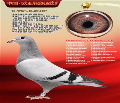 ����041Xɣ��ʿ006