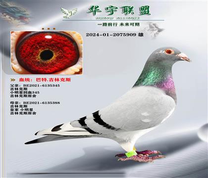 吉林克斯 小明星多重溶血X詹姆斯女皇帝