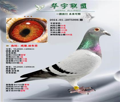 威廉迪布恩 墨菲定律直子X墨菲定律直女 超级金姆