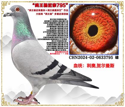 ���ص��Ƽ������¡����������ֱ���������ֱ��Ů�����׻�Ѫ