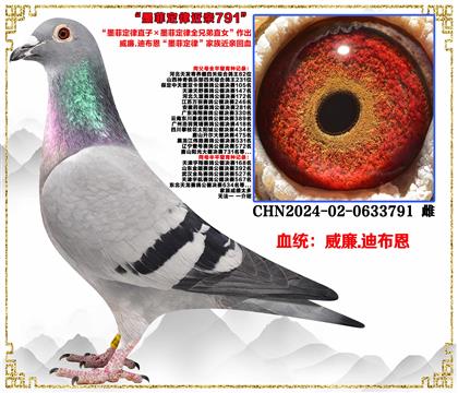 ���ص��Ƽ�������.�ϲ�����ī�ƶ���ֱ�ӡ�ī�ƶ���ȫ�ֵ�ֱŮ��