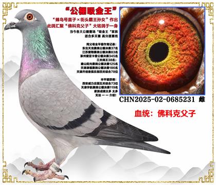 ���ص��Ƽ�����ƿˡ������ֱ�ӡ���ͷ����ֱ��Ů������