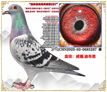 ���ص��Ƽ��������ϲ���������ƥ��쫷��ֱ�ӡ�ֱ��Ů�����׻�Ѫ