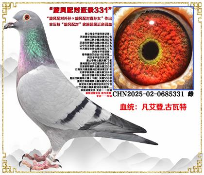 �����ء��������������������ֱ��Ů�����׻�Ѫ
