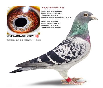 �����ָ롰�����޵С�����ֱ��