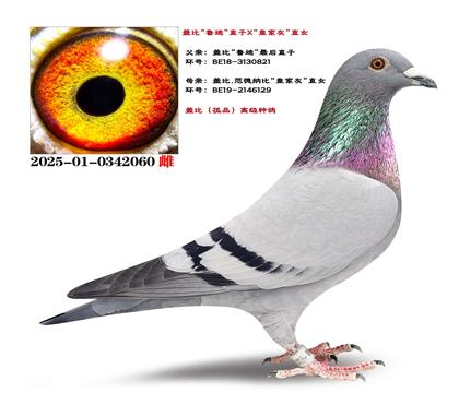 �����Ƽ����Ǳȡ�³�ϡ�ֱ��X���ʼһҡ�ֱŮ