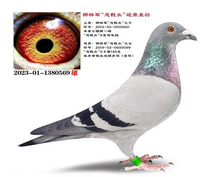 �Ƽ������־����ܽ�ͷ������ֱ��