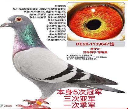 5�ιھ��������Ǿ���һ�μ���������16������