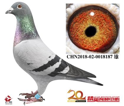 �����������롰098������ֱ��