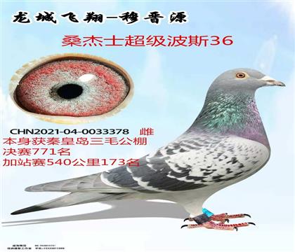�ػʵ���ë����771��ɣ��ʿ������˹46