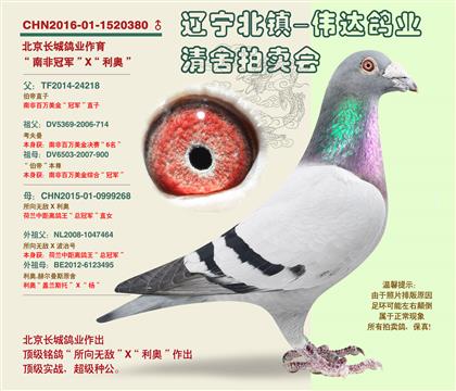 ���Ǹ�ҵ-������4λ֮����