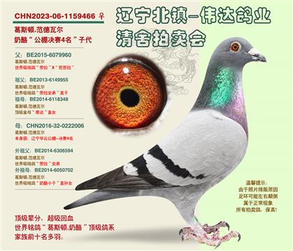 ������-����4�����Ӵ�