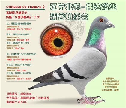������-����4�����Ӵ�