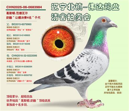 ������-����4�����Ӵ�