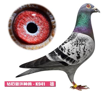 利奥-奥林匹克K941