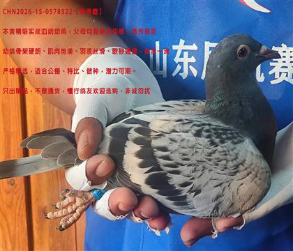 �������˹쫷�ֱ��Xī�ƶ���ֱŮ