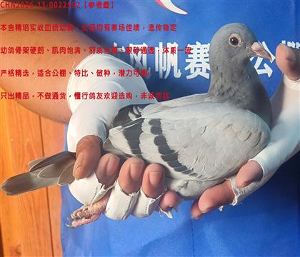 �����߹�����ѡ