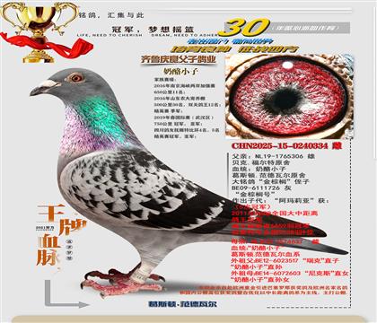 ����鵴�