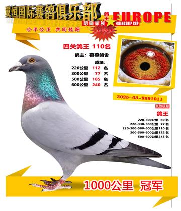 ǧ����ھ�