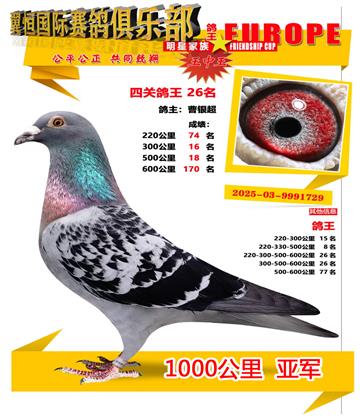 ǧ�����Ǿ�