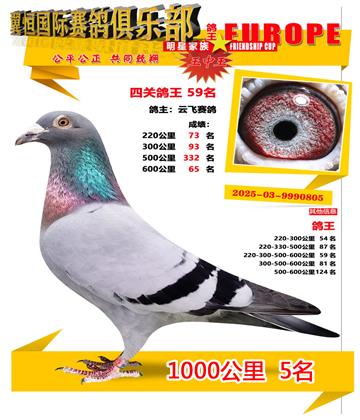 ǧ����5��