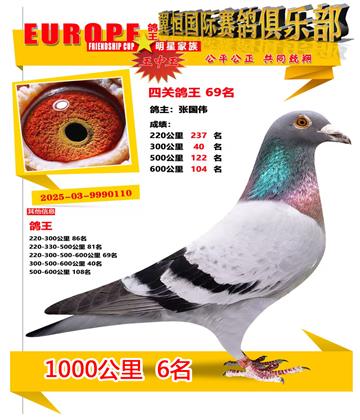 ǧ����6��