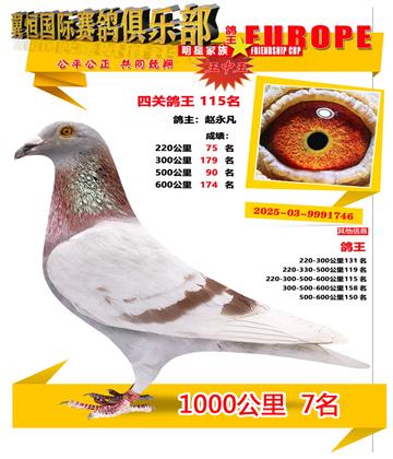 ǧ����7��