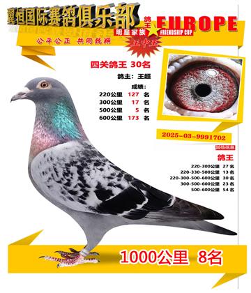 ǧ����8��