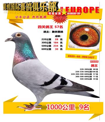 ǧ����9��