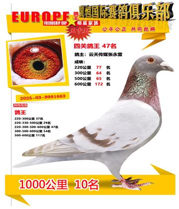 ǧ����10��