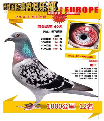 ǧ����12��
