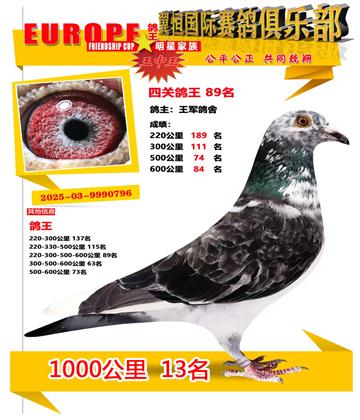 ǧ����13��