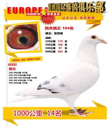 ǧ����14��
