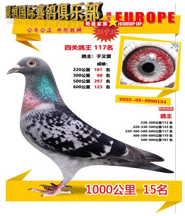 ǧ����15��