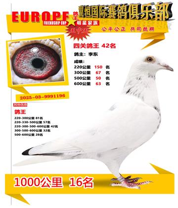 ǧ����16��