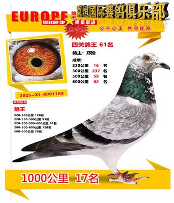ǧ����17��