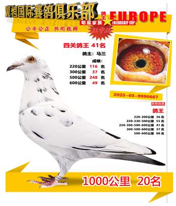 ǧ����20��