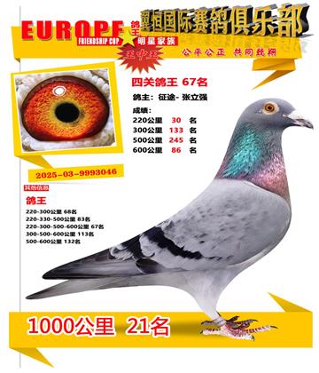 ǧ����21��