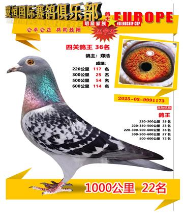 ǧ����22��