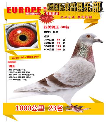 ǧ����23��