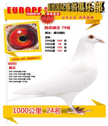 ǧ����24��
