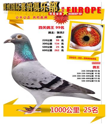 ǧ����25��