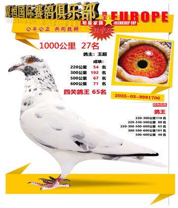 ǧ����27��