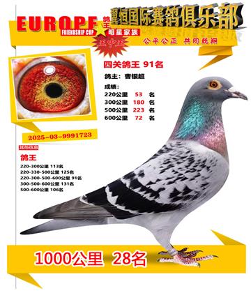 ǧ����28��